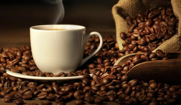 Kopi Gayo dan Cita Rasa Arabika yang Banyak Dicari Hari Ini